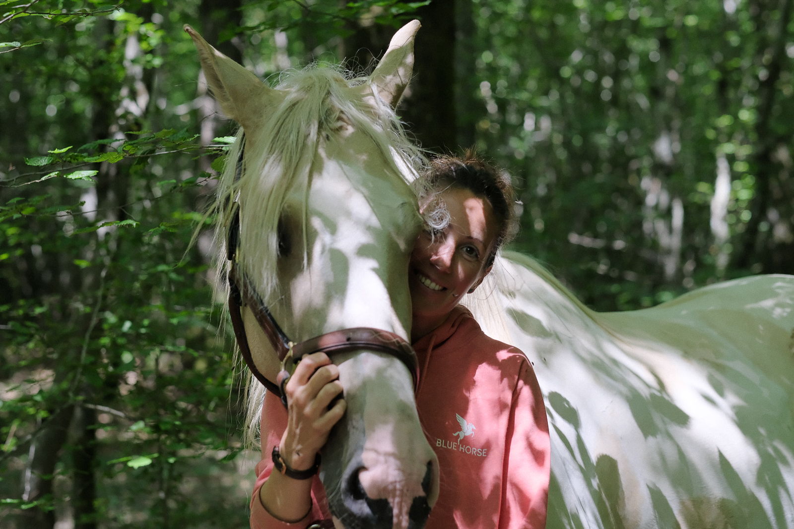 lien vibratoire et énergétique avec les chevaux