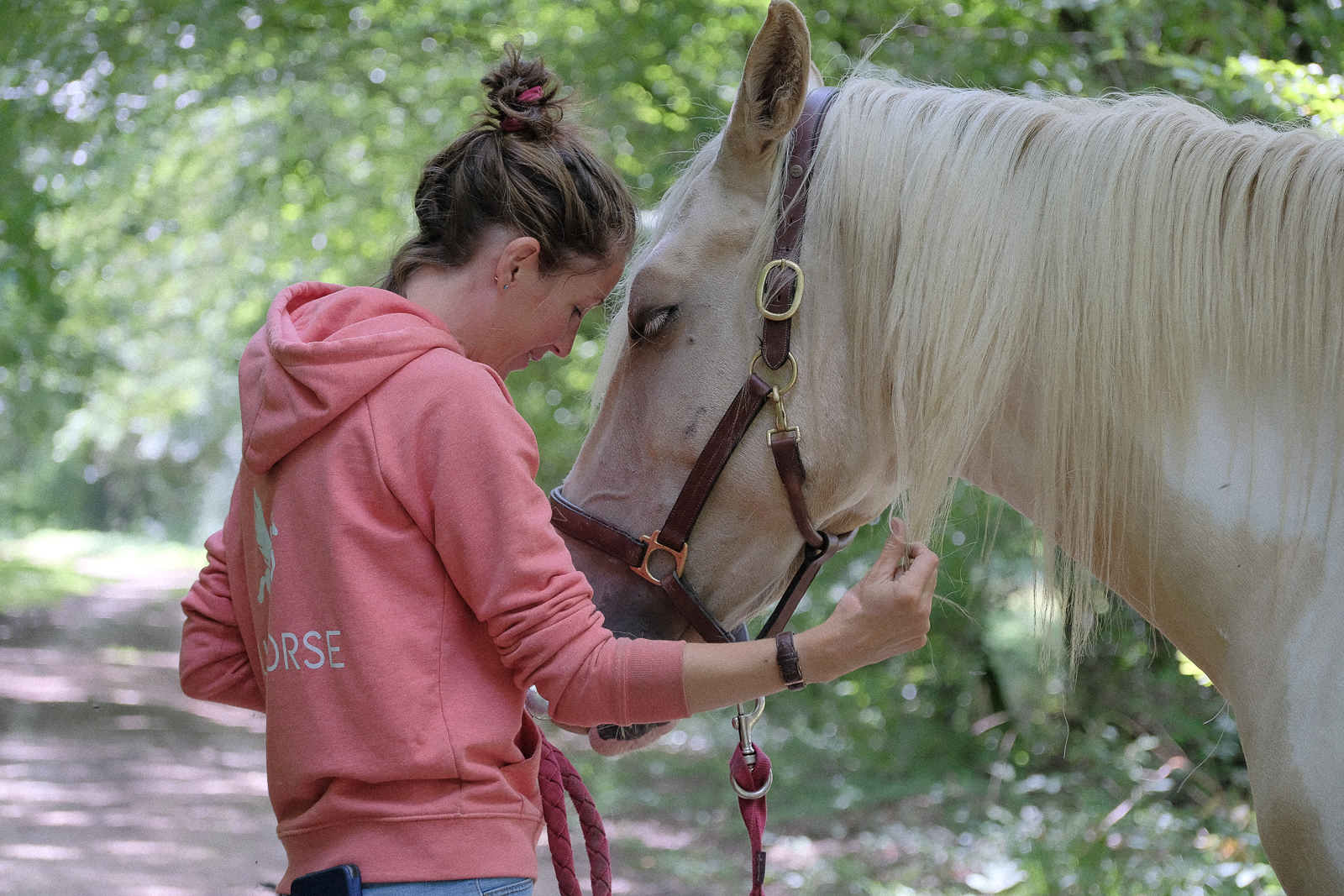 soins énergétique avec le cheval