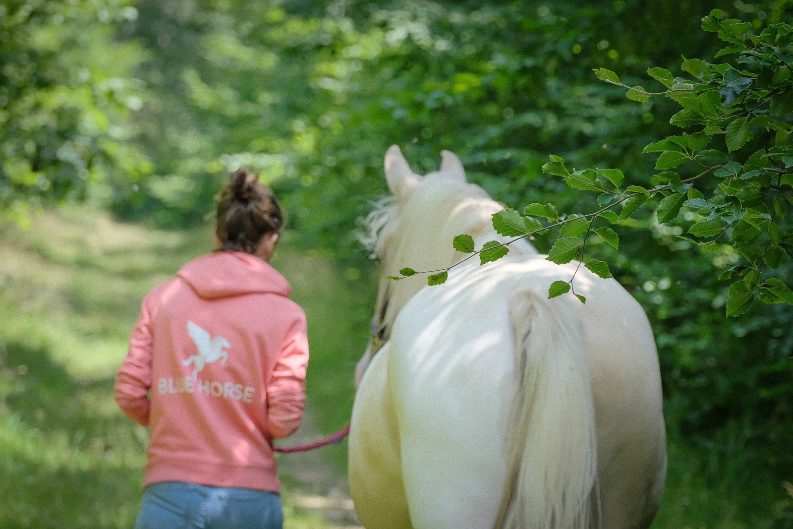 developpement-personnel-avec-cheval-